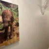 Panneau d'images Herschel Inspire représentant un éléphant