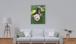 Panneau d'affichage Inspire pour chiens