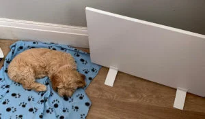 Choisir le sous-bureau à la maison