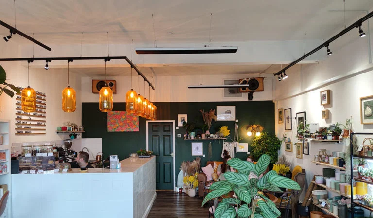 Le café Plant Collection Chauffage