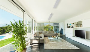 Summit blanc dans le jardin d'hiver