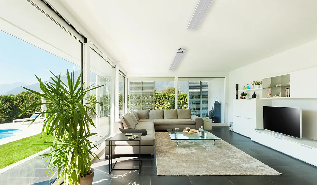 Summit blanc dans le jardin d'hiver