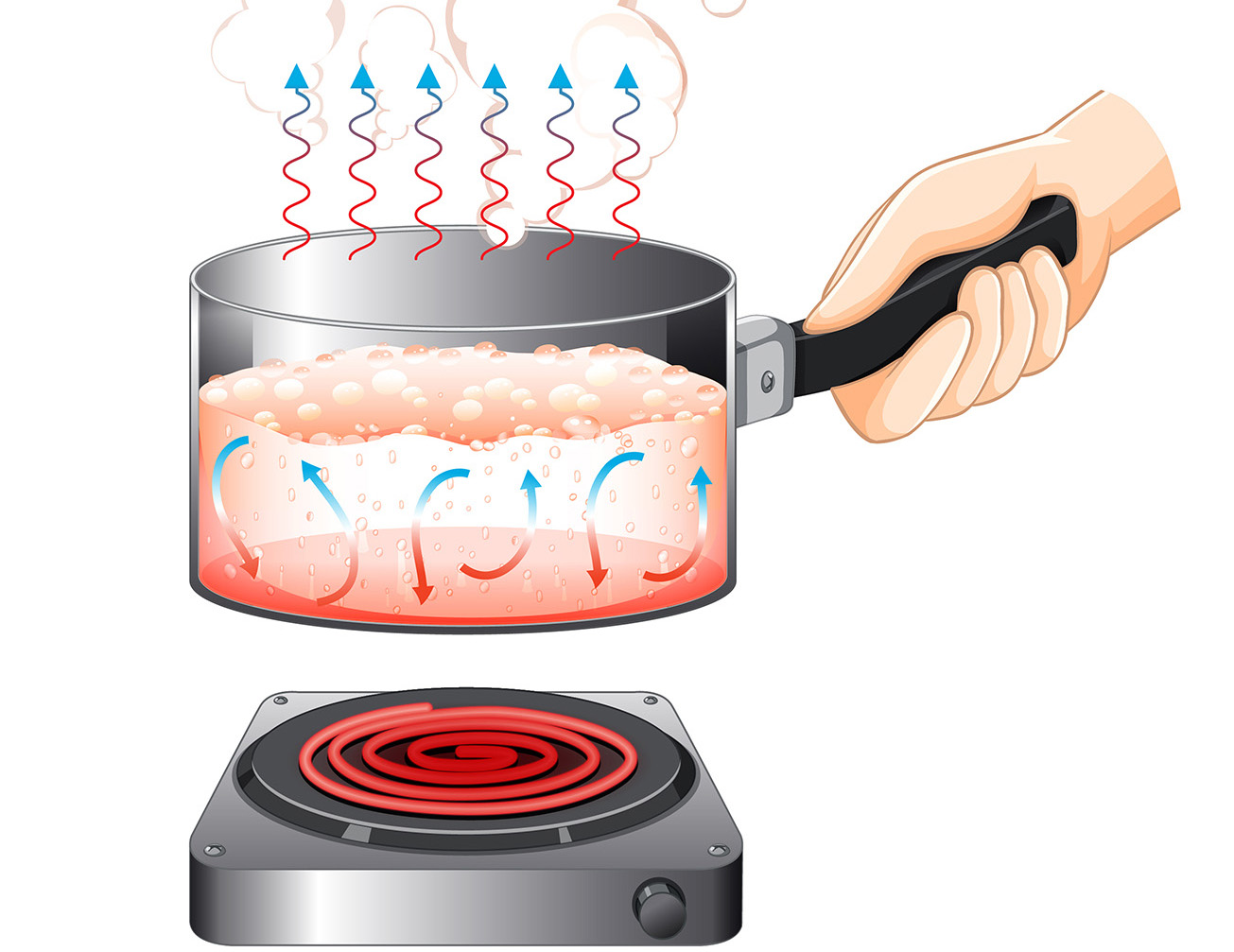 Schéma d'une casserole pour illustrer la convection