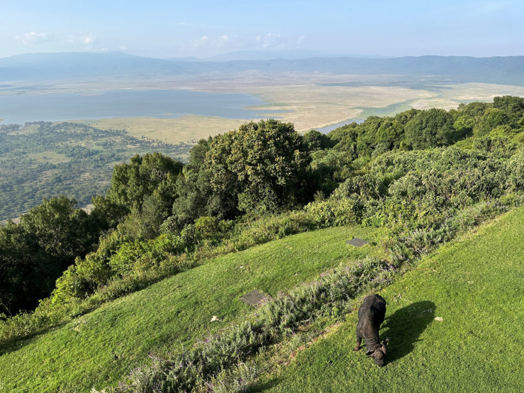Ngorongoro Melia chauffé par des panneaux chauffants Herschel Comfort