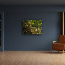 Inspire Picture Variation Image - BH-500