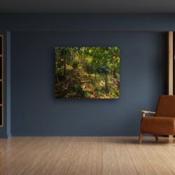 Inspire Picture Variation Image - BH-900