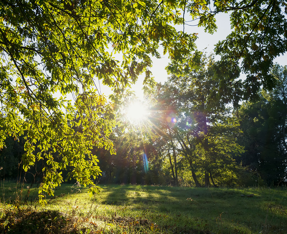 Les infrarouges correspondent à la chaleur que nous ressentons dans un environnement réchauffé par le soleil