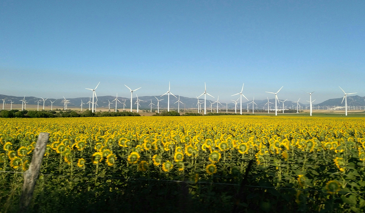 Les chauffages de terrasse sont-ils mauvais pour l'environnement ?